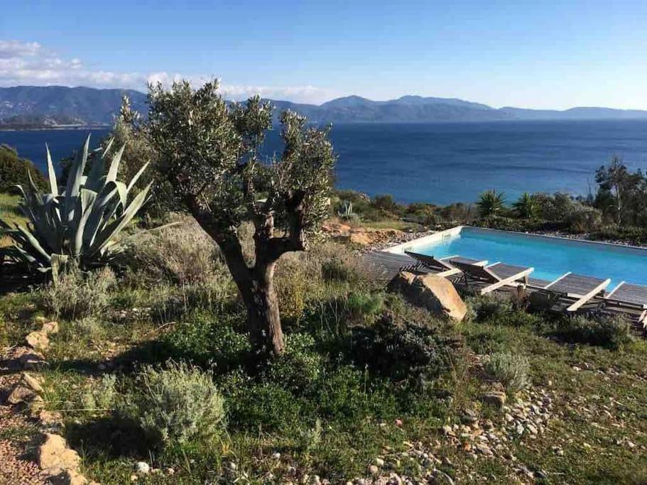 Casa Turrigiani Villa Sagone  Exterior photo